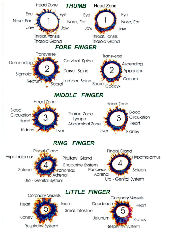 SCIENTIFIC ANALYSIS OF THE HUMAN AURA