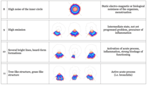 Korotkov's images types
