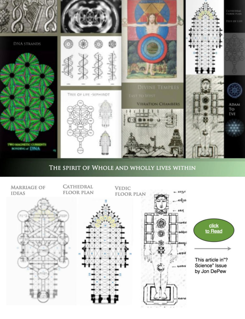 Biogeometry