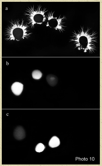 Bondarev Registration of energetic flows of fingers of man’s hand