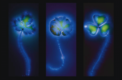 Kirlian and Kirlian Photography IUMAB 333